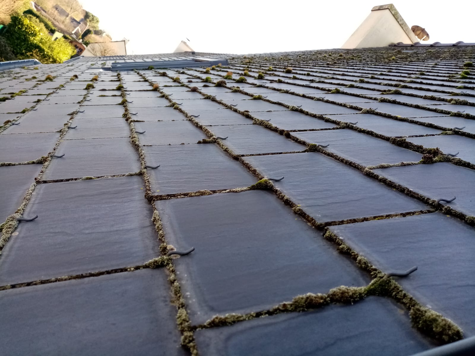 NET’ÉCO HABITAT - DÉMOUSSAGE TOITURE - CÔTES-D’ARMOR ET ILLE-ET-VILAINE